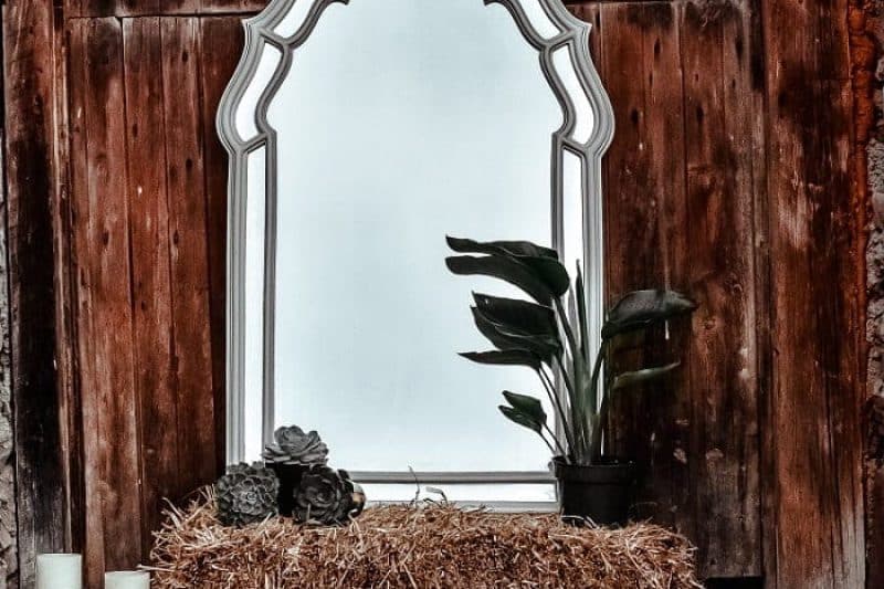 jacalyn-beales-ub1SVTWHzZc-unsplash