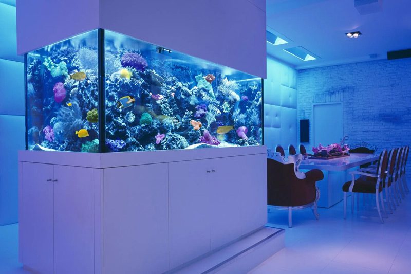 what-kind-of-glass-is-used-to-make-an-aquarium-tetraglass-01