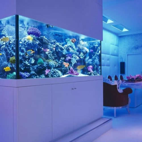 what-kind-of-glass-is-used-to-make-an-aquarium-tetraglass-01